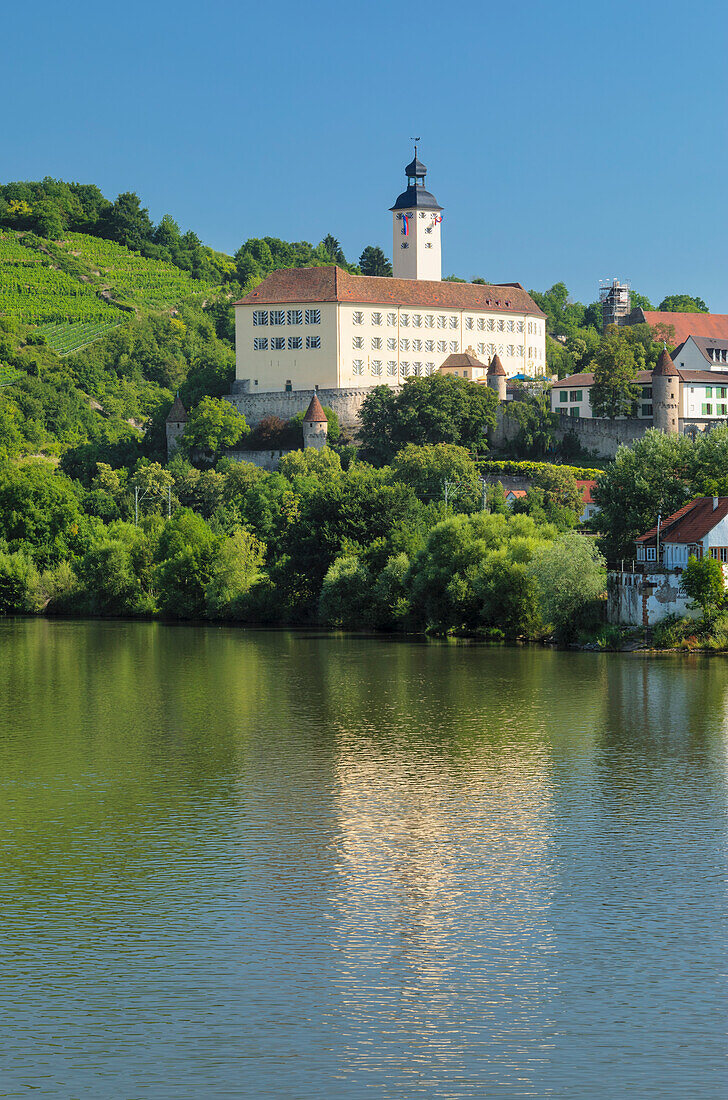 Horneck Castle, Gundelsheim am Neckar, Neckartal Valley, Baden-Wurttemberg, Germany, Europe