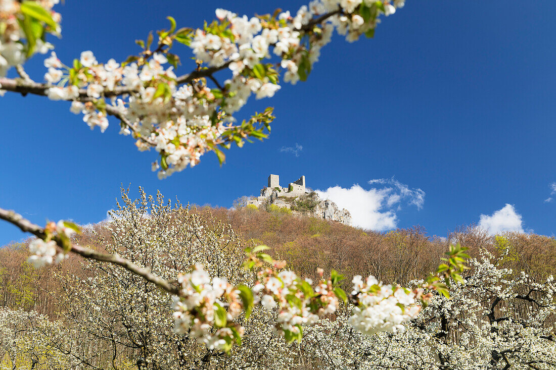 Reussenstein, Burg, Neidlinger Tal Valley, Schwäbische Alb, Baden-Württemberg, Deutschland, Europa