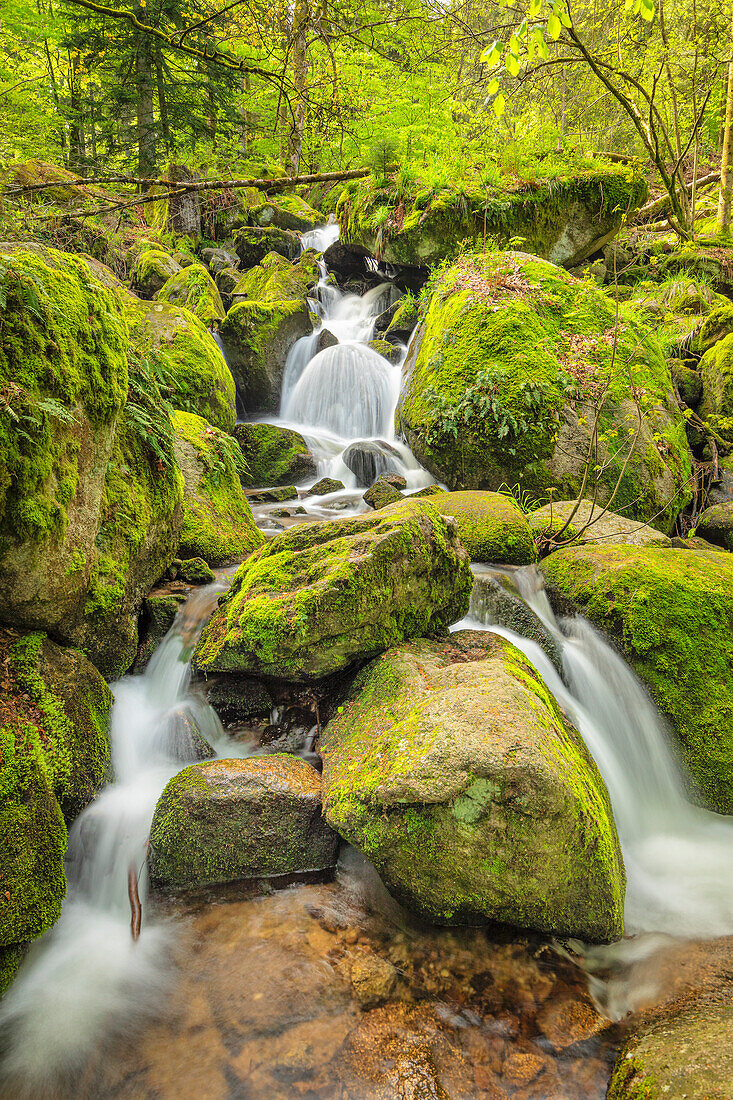 Gaisholl Waterfalls, Sasbachwalden, Black Forest, Baden-Wurttemberg, Germany, Europe