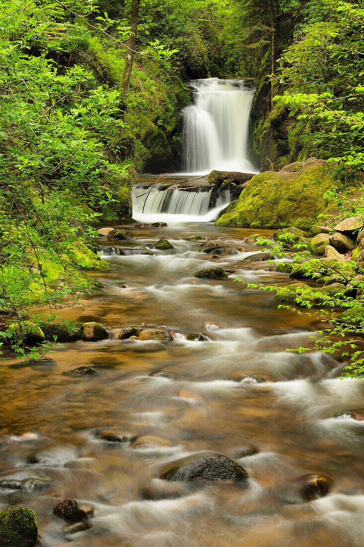 Geroldsau Waterfall, Baden Baden, Black Forest, Baden-Wurttemberg, Germany, Europe