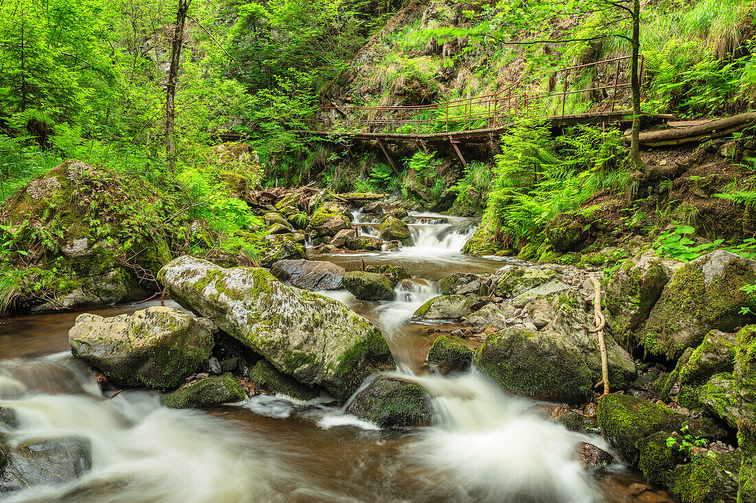 Ravennaschlucht entlang Ravenna River, Breitnau, Hollental Valley, Schwarzwald, Baden-Württemberg, Deutschland, Europa