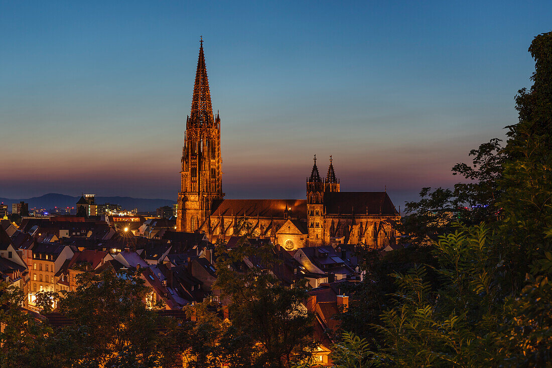 Freiburg Cathedral, Freiburg im Breisgau, Black Forest, Baden-Wurttemberg, Germany, Europe