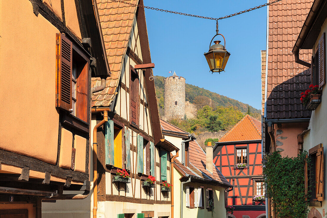 Half-timbered houses and castle, Kaysersberg, Alsace, Alsatian Wine Route, Haut-Rhin, France, Europe