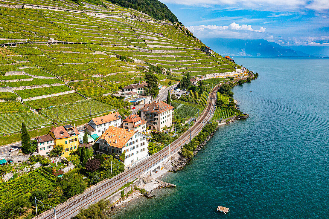 Luftaufnahme der Weinbergterrassen von Lavaux, UNESCO-Weltkulturerbe, Genfer See, Schweiz, Europa