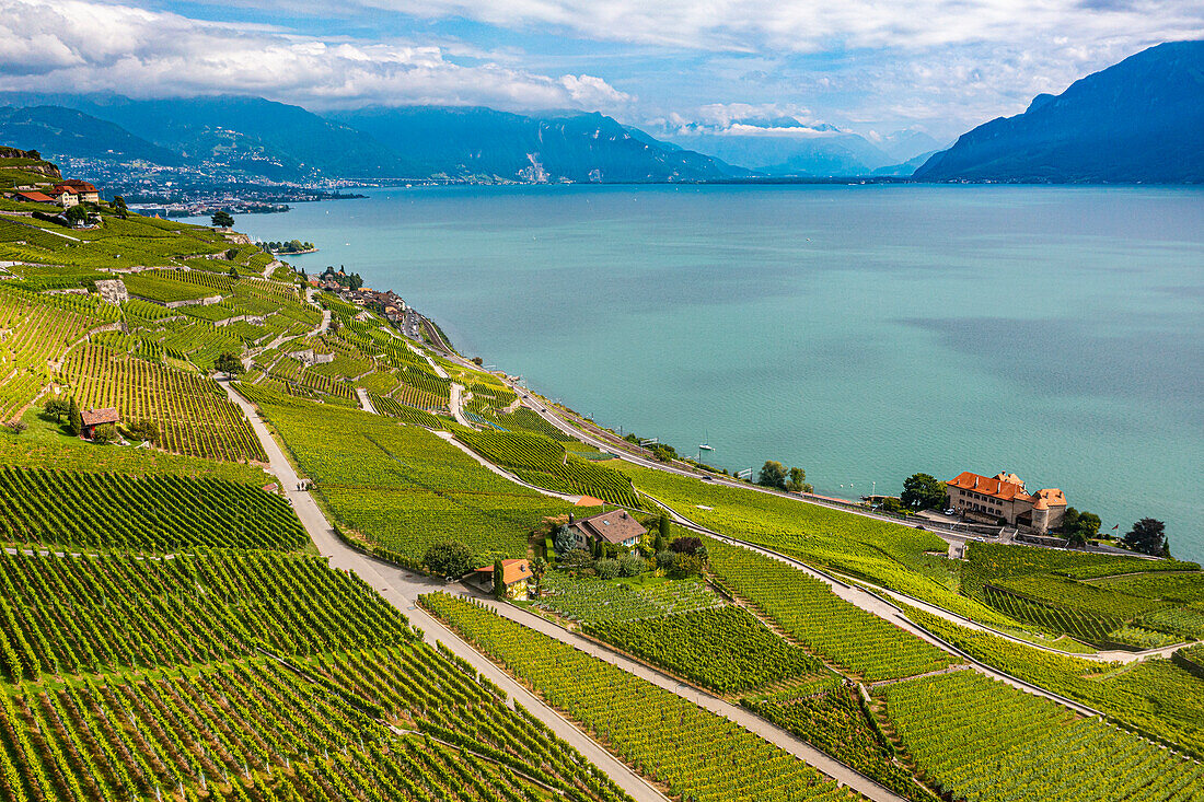 Aerial of Lavaux Vineyard Terraces, UNESCO World Heritage Site, Lake Geneva, Switzerland, Europe