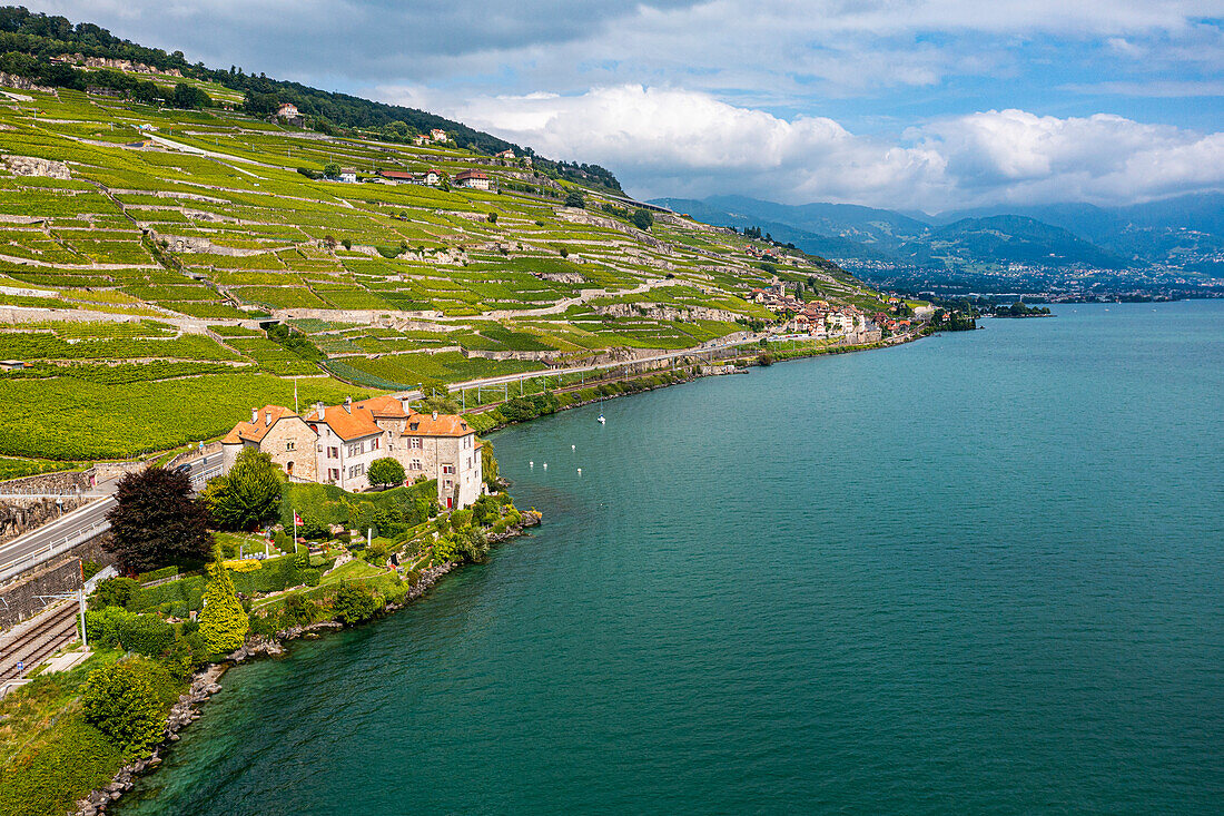 Aerial of the Lavaux Vineyard Terraces, UNESCO World Heritage Site, Lake Geneva, Switzerland, Europe
