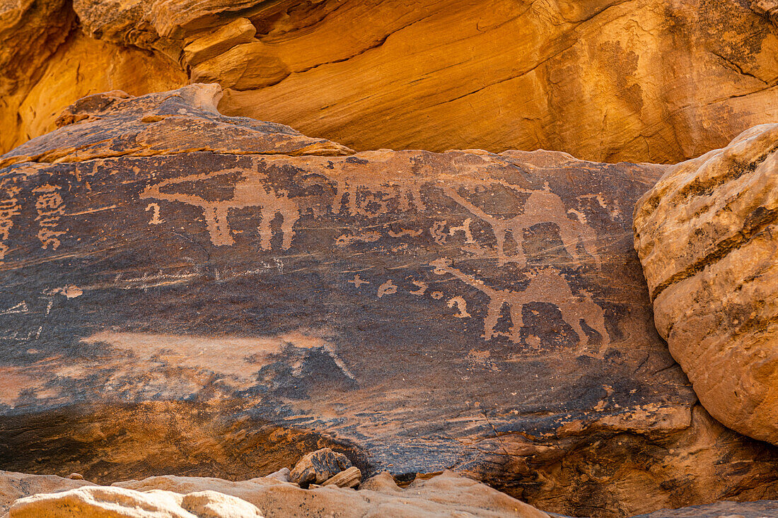 Rock Art in der Region Ha'il, UNESCO-Weltkulturerbe, Jubbah, Königreich Saudi-Arabien, Naher Osten