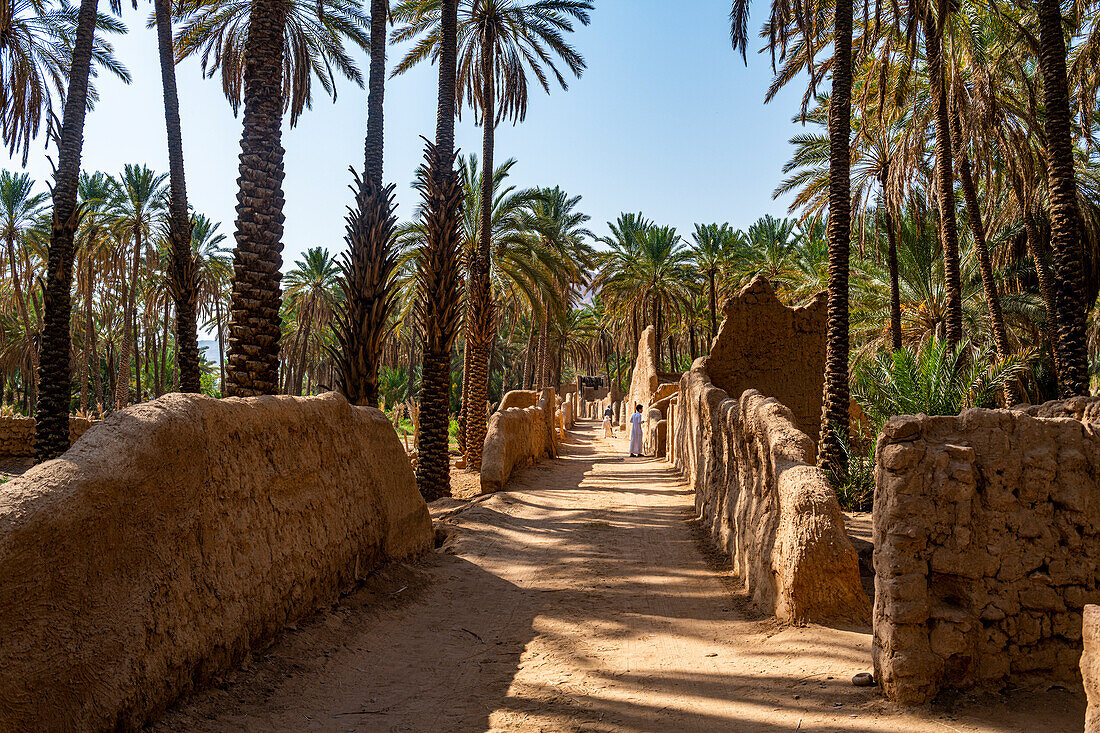 Oase von Al Ula, Königreich Saudi-Arabien, Naher Osten