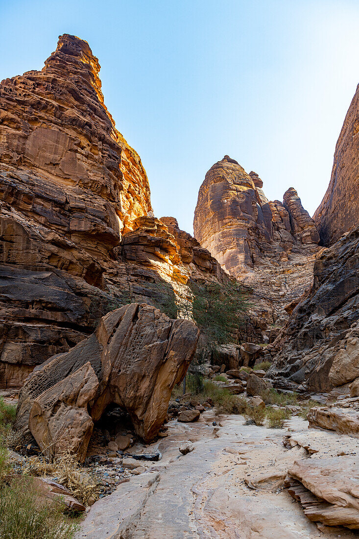 Jebel Ikmah, größte Open-Air-Bibliothek, Al Ula, Königreich Saudi-Arabien, Naher Osten