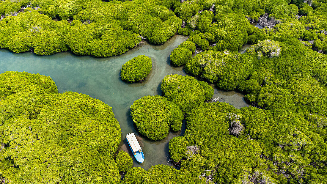 Luftaufnahme des Mangrovenwaldes, Farasan-Inseln, Königreich Saudi-Arabien, Naher Osten