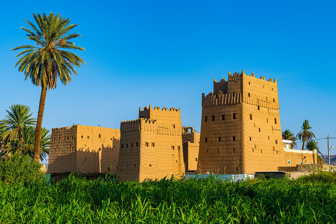 Traditionelle Lehmtürme, die als Wohnhäuser genutzt werden, Najran, Königreich Saudi-Arabien, Naher Osten