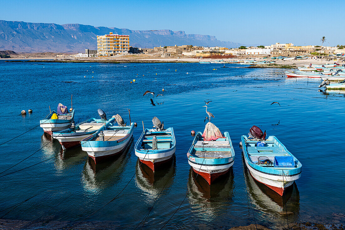 Fischereihafen Mirbat mit kleinen Fischerbooten, Salalah, Oman, Naher Osten