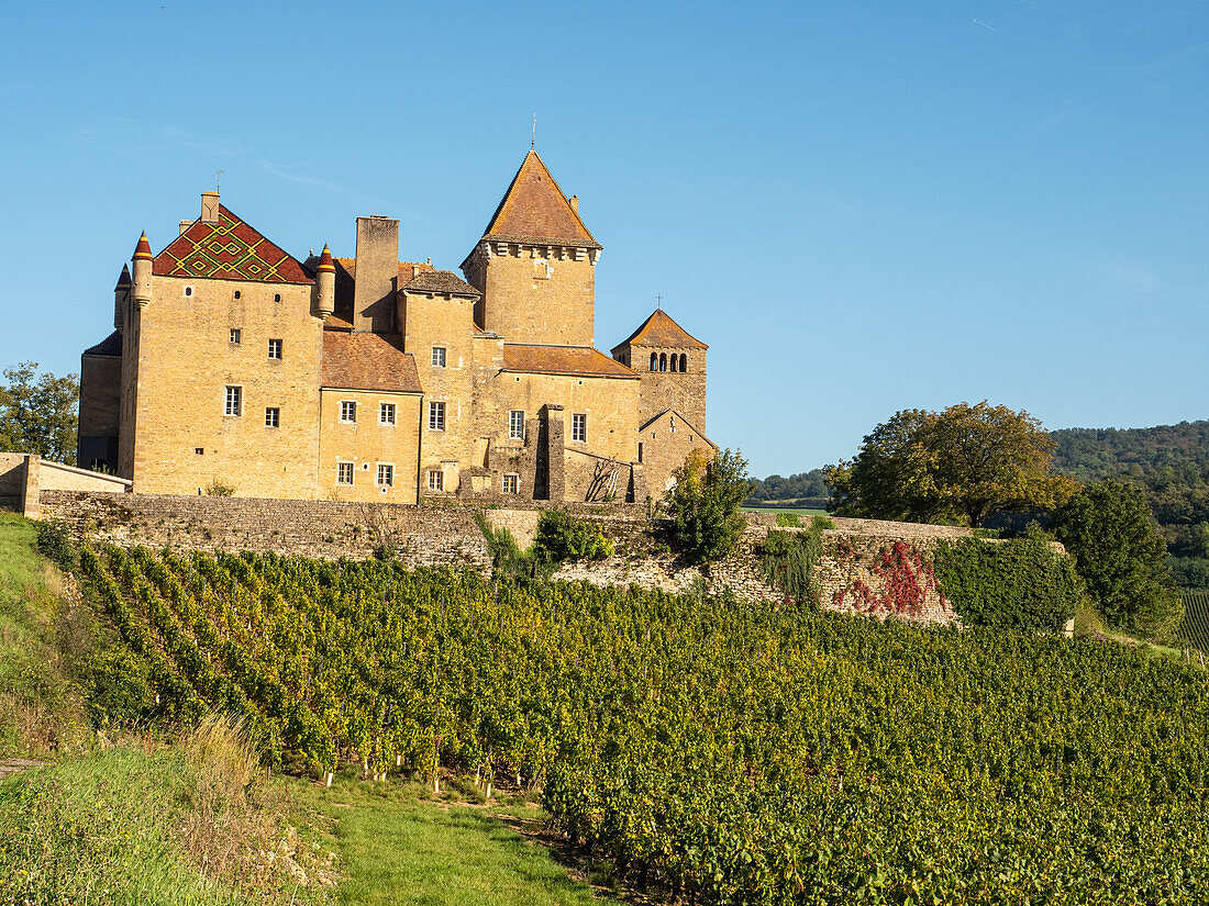 The Pierreclos Chateau and winery near Macon, Saone-et-Loire, Burgundy, France, Europe