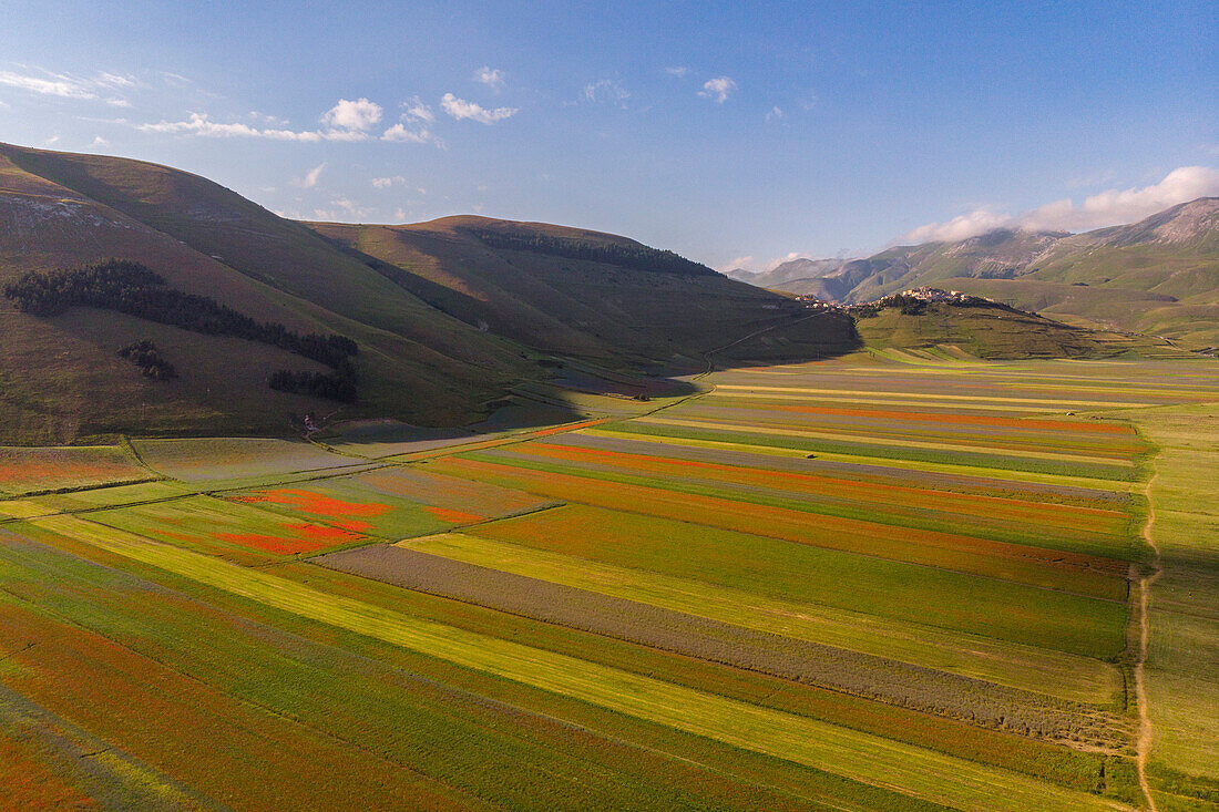 Luftaufnahme von Piano Grande von Castelluccio di Norcia Plateau im Sommer, Sibillini-Gebirge, Apennin, Umbrien, Italien, Europa