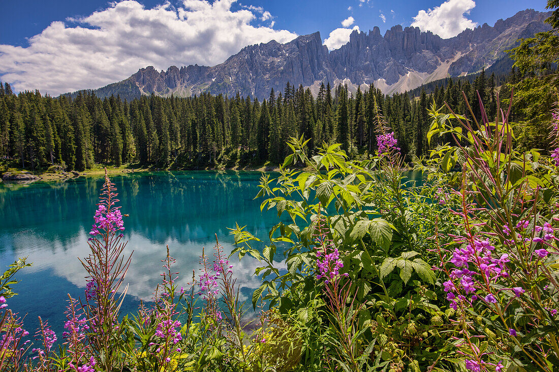 Latemar-Gebirge spiegelt sich im Karersee (Karersee) im Sommer, Südtirol, Dolomiten, Italien, Europa