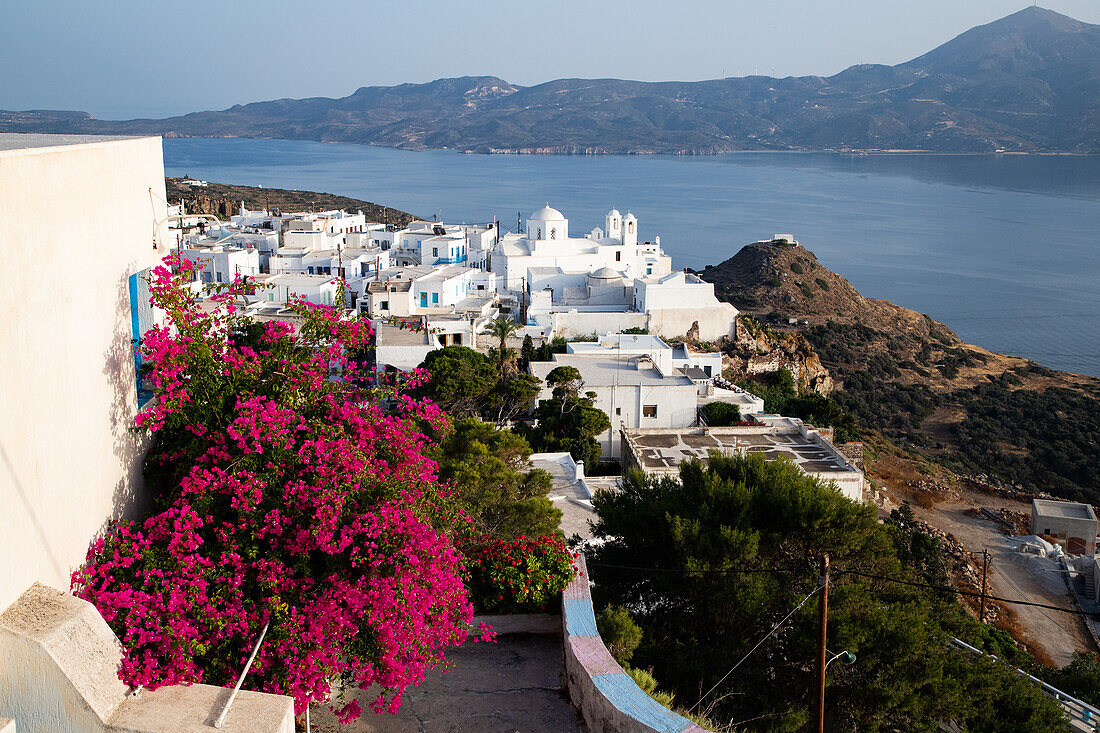 Alte weiße Stadt Plaka und Bucht von Milos mit bunten Bougainvillea, Plaka, Milos, Kykladen, Ägäis, griechische Inseln, Griechenland, Europa