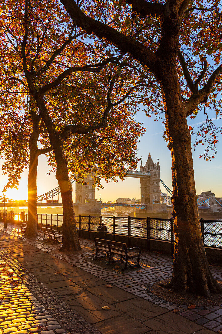 Herbst Sonnenaufgang auf dem Gelände des Tower of London mit Tower Bridge, London, England, Vereinigtes Königreich, Europa