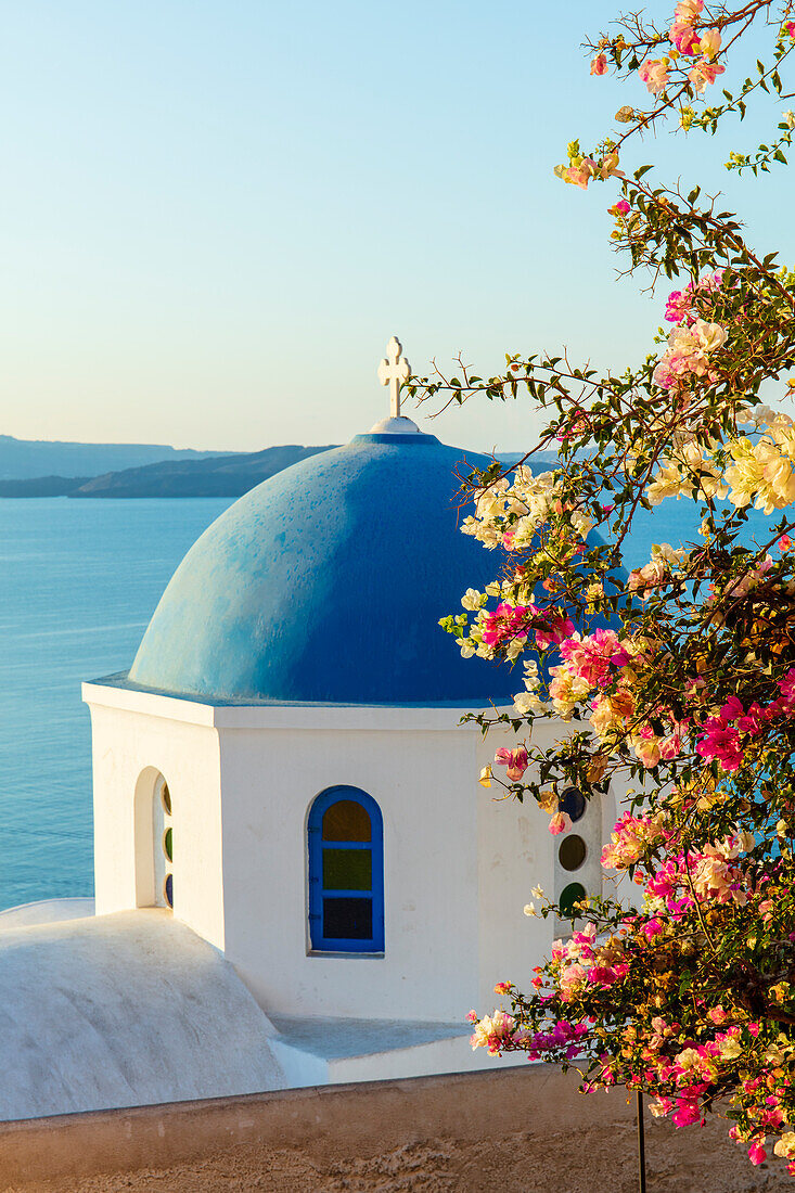 Blau gewölbtes weißes Gebäude mit bunten Blumen im Vordergrund, Oia, Santorini, Kykladen, griechische Inseln, Griechenland, Europa