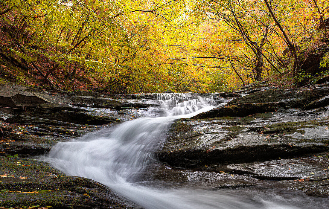 Herbstfarben und Laub in einem Wald mit einem Wasserfall, der zwischen Felsen fließt, Emilia Romagna, Italien, Europa