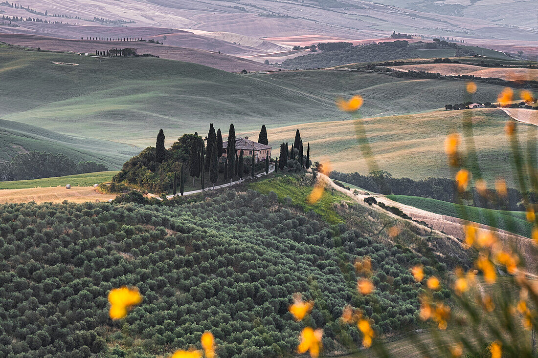 Podere Belvedere Hügel bei Sonnenaufgang, Val d'Orcia, UNESCO-Weltkulturerbe, Toskana, Italien, Europa