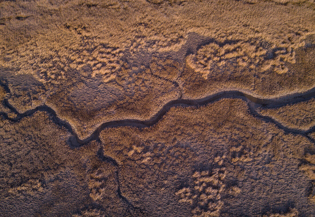 Chesapeake Bay Salzwiesen, Hampton, Virginia, Vereinigte Staaten von Amerika, Nordamerika