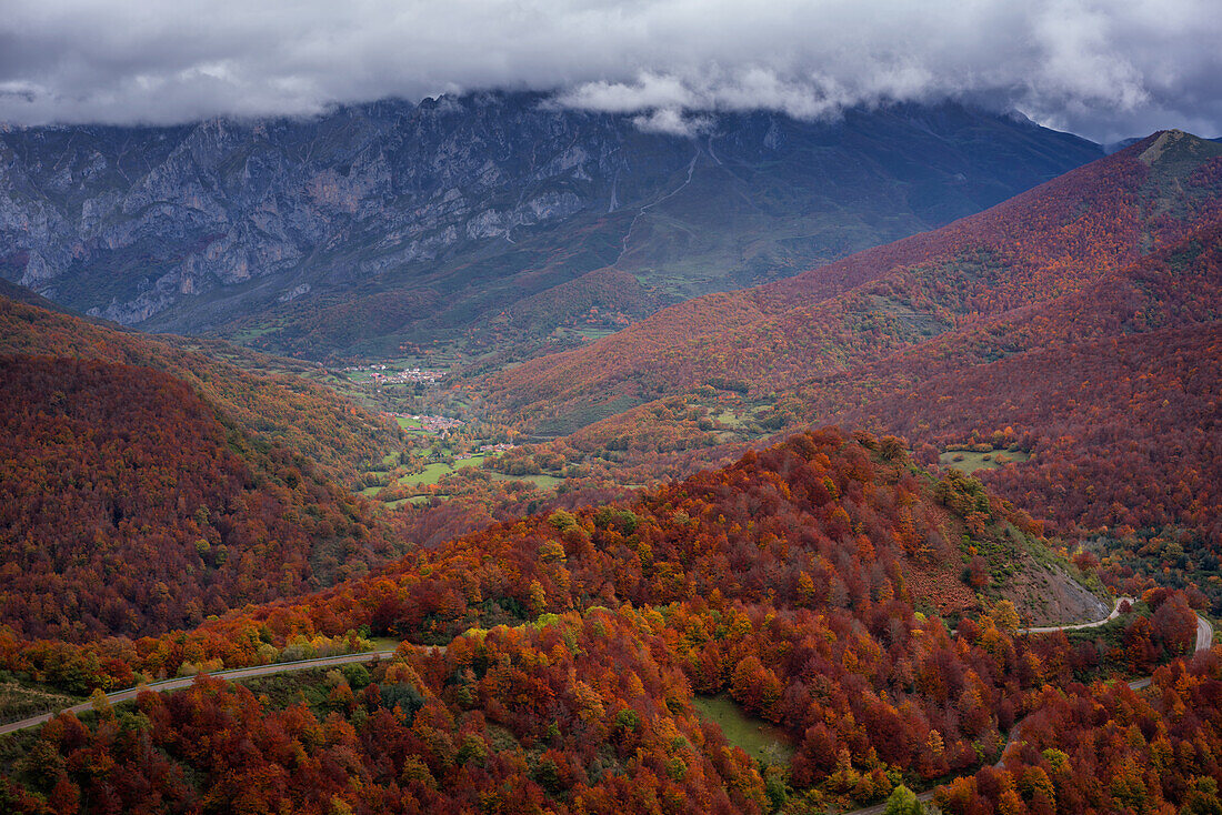 Straßenkreuzung schöne bunte Herbstbaumlandschaft im Nationalpark Picos de Europa, Leon, Spanien, Europa
