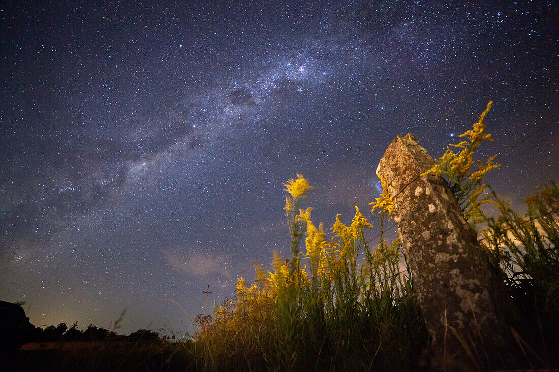 Low angle view of milky way over agricultural field with fence