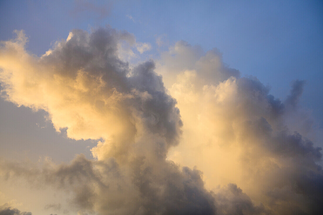 Cumulus clouds in morning light