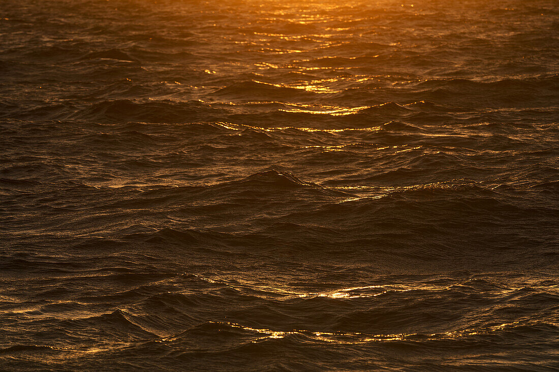 Sunlight reflected in sea waves at sunrise