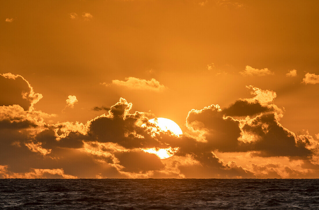 Sun behind clouds rising over ocean