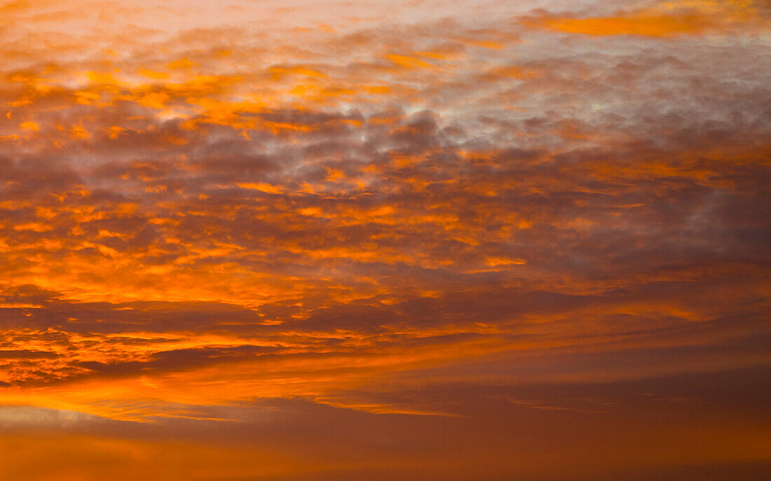 Orange sunrise sky