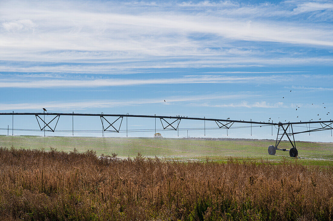 USA, New Mexico, Farmington, Bewässerungssystem im Feld