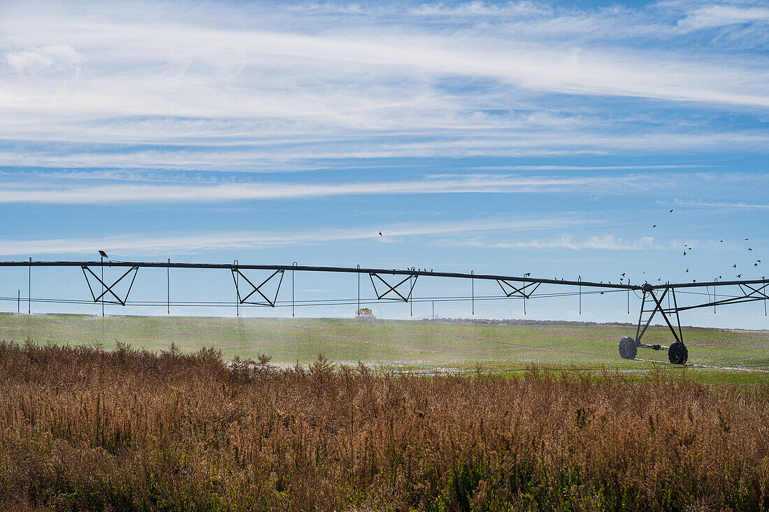 USA, New Mexico, Farmington, Irrigation system in field