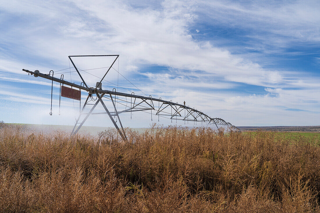 USA, New Mexico, Farmington, Bewässerungssystem im Feld
