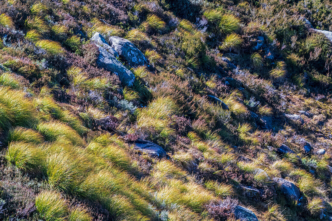 Australien, New South Wales, Felsen und Gras in den Bergen im Kosciuszko National Park
