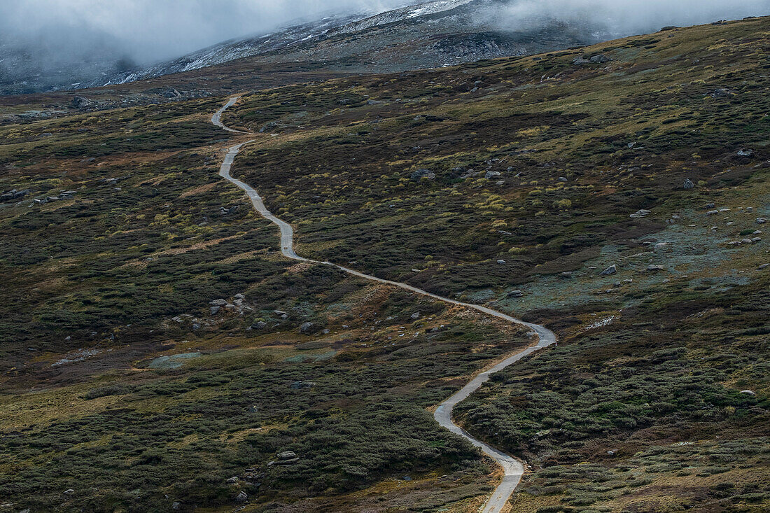 Australia, New South Wales, Hiking trail in mountains at Charlotte Pass in Kosciuszko National Park