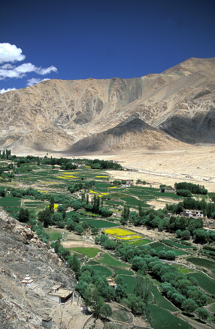 Indien, Ladakh, Distrikt Leh, Nubra-Tal, Landschaft mit Himalaya und grünem Tal vom buddhistischen Lamayuru-Kloster aus gesehen