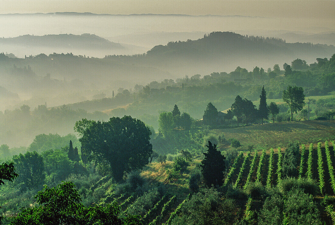 Italien, Toskana, Val D'Orcia, Ländliche Hügel mit Morgennebel