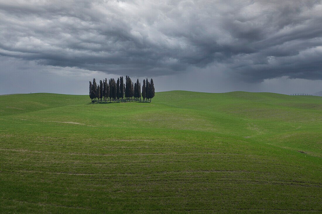 Italy, Tuscany, Val D'Orcia, Cypresses on green hill under storm clouds