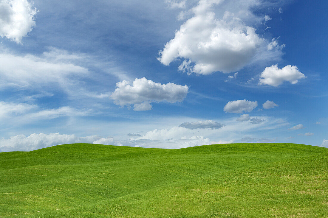 Italien, Toskana, Val D'Orcia, grüne Hügel unter blauem Himmel