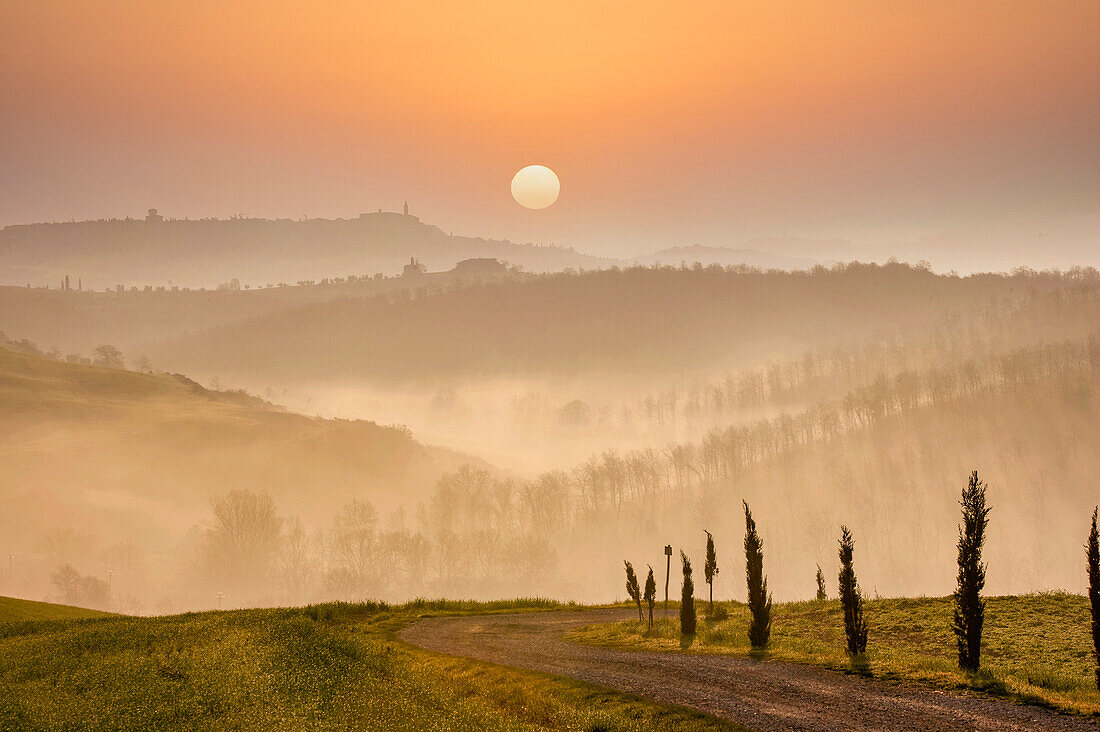 Italy, Tuscany, Val D'Orcia, Pienza, Hills and dirt road covered with mist at sunrise