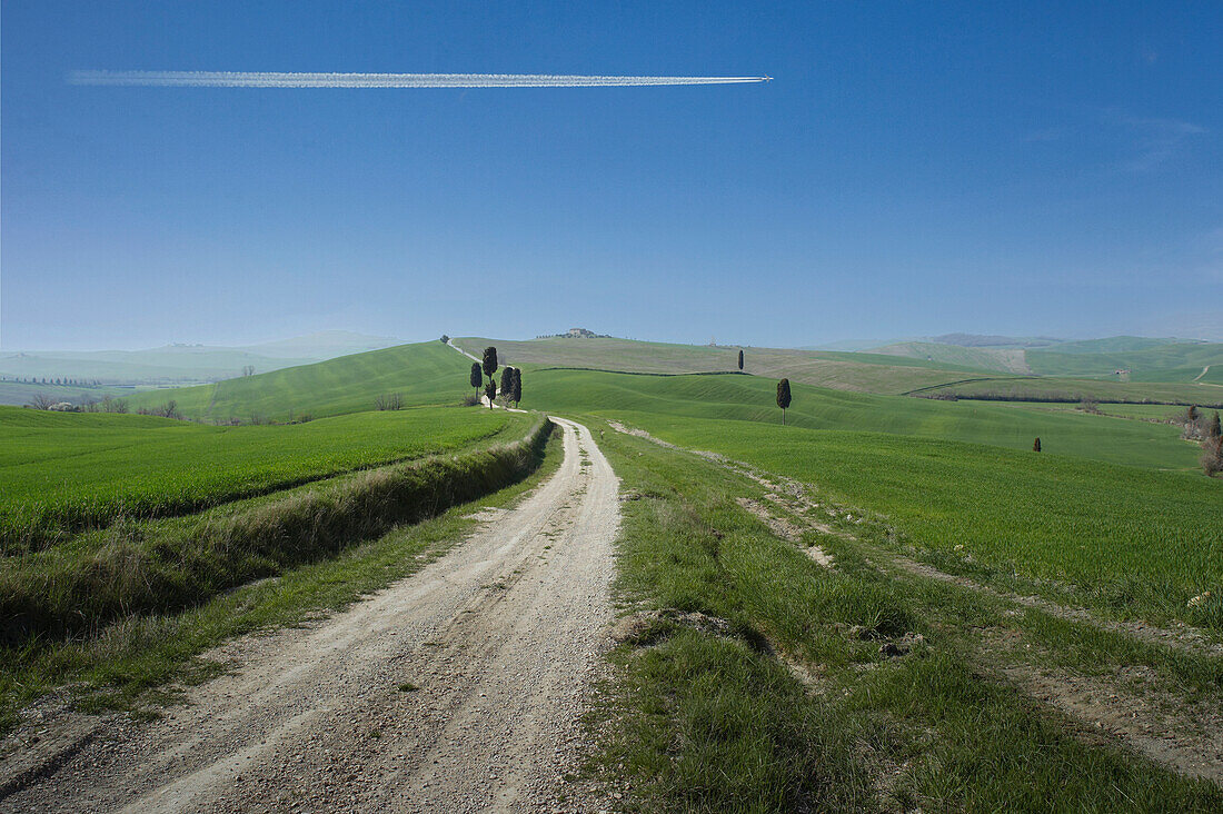 Italy, Tuscany, Val D'Orcia, Dirt road crossing green fields