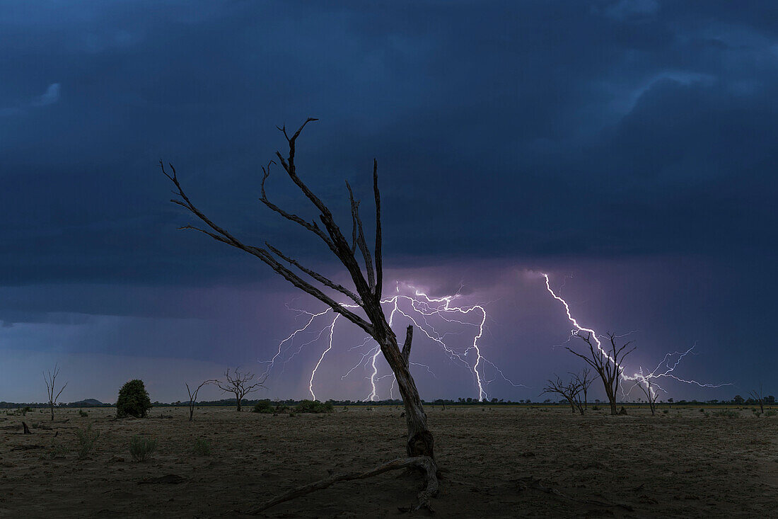 Botswana, Chobe National Park, Gewitter über Savanne