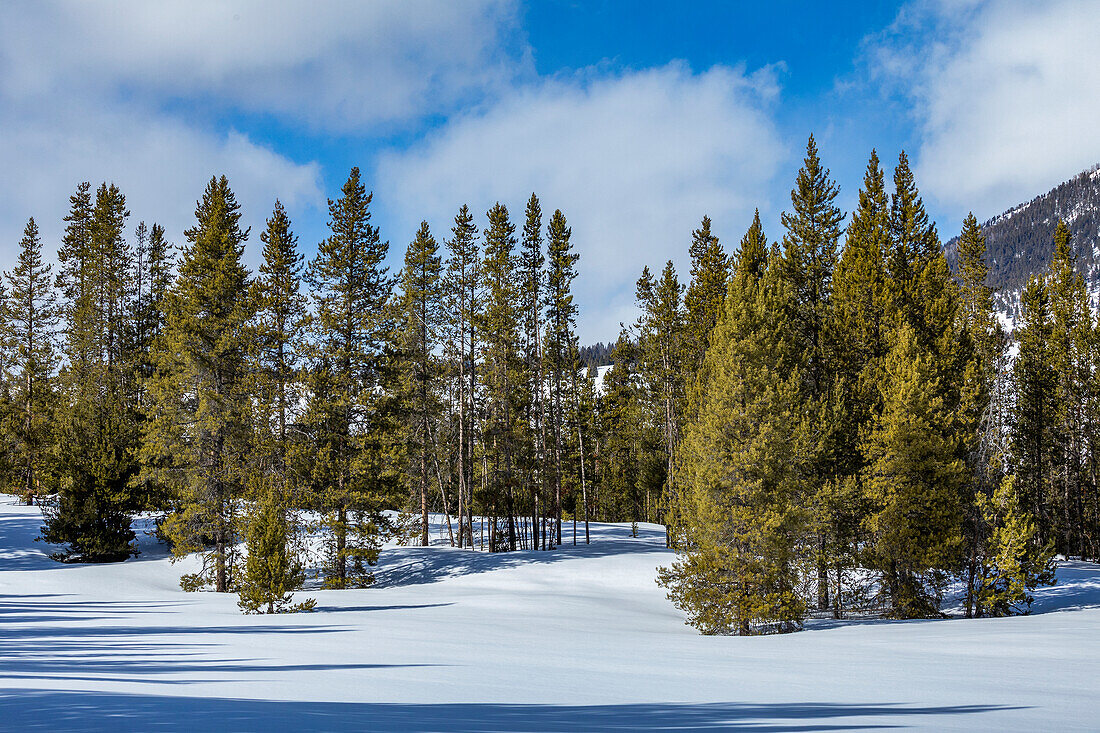 USA, Idaho, Sun Valley, Mountain and trees in winter