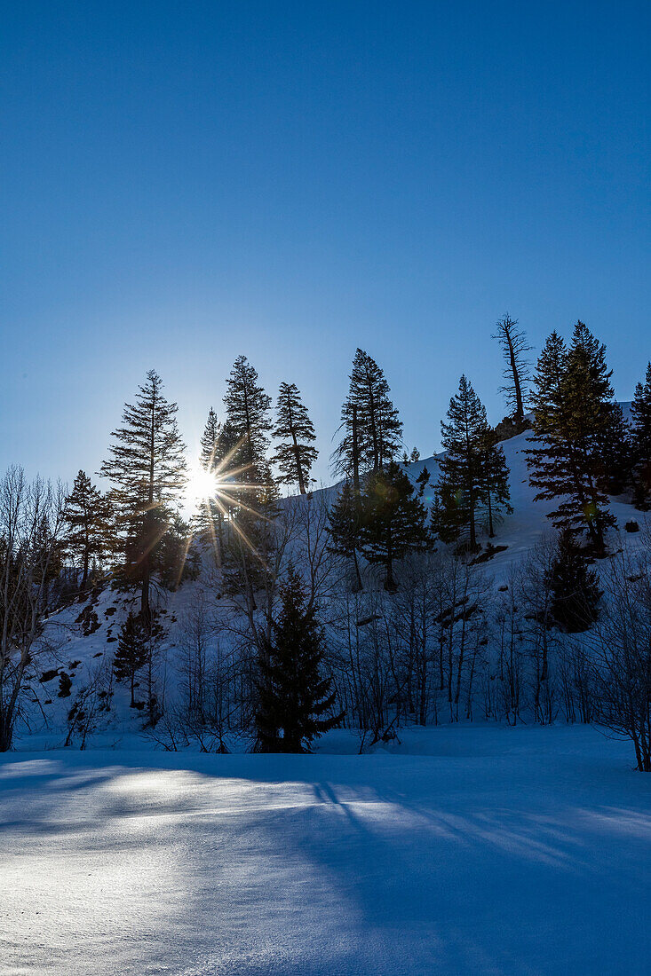 USA, Idaho, Sun Valley, Mountain and trees in winter