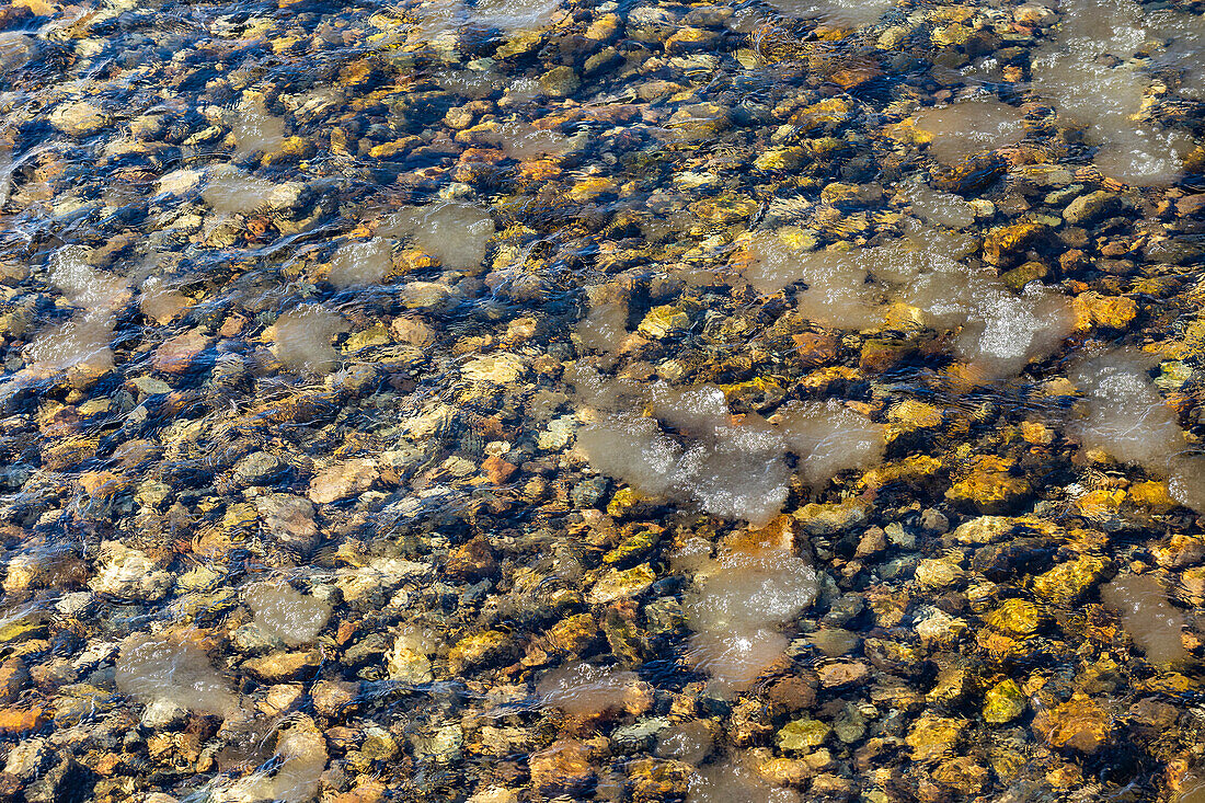 USA, Idaho, Stanley, Clear waters of Salmon River