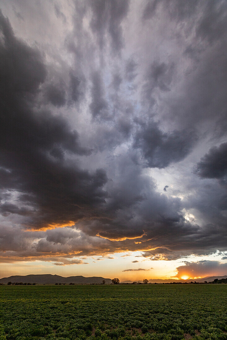 Usa, Idaho, Bellevue, Gewitterwolken über Felder bei Sonnenuntergang