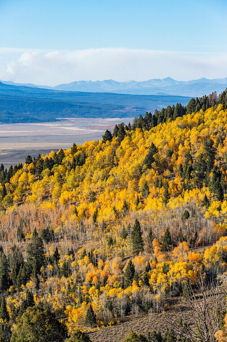 USA, Idaho, Stanley, Fall foliage in mountains near Sun Valley