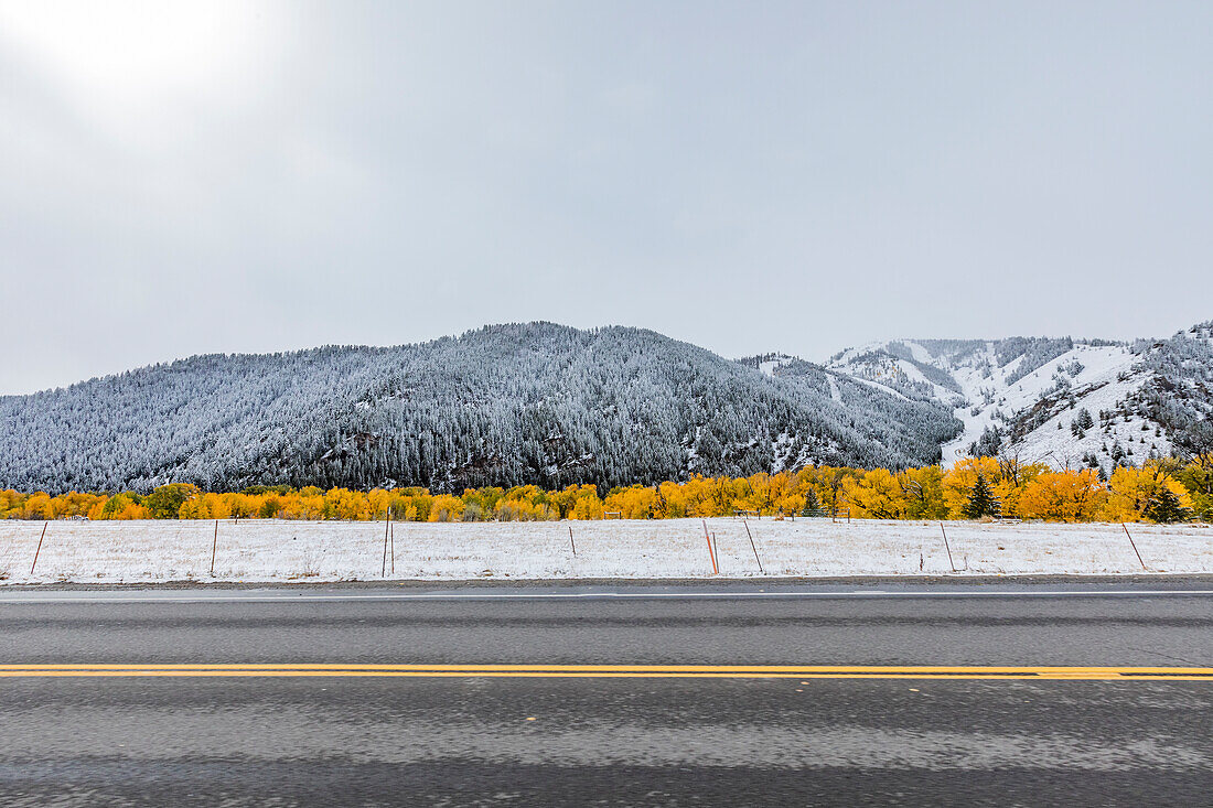 USA, Idaho, Ketchum, Fall foliage along highway near Sun Valley