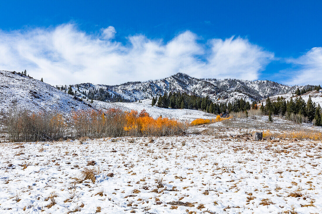 USA, Idaho, Ketchum, Fall foliage in mountains near Sun Valley